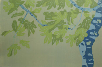 Fig Tree